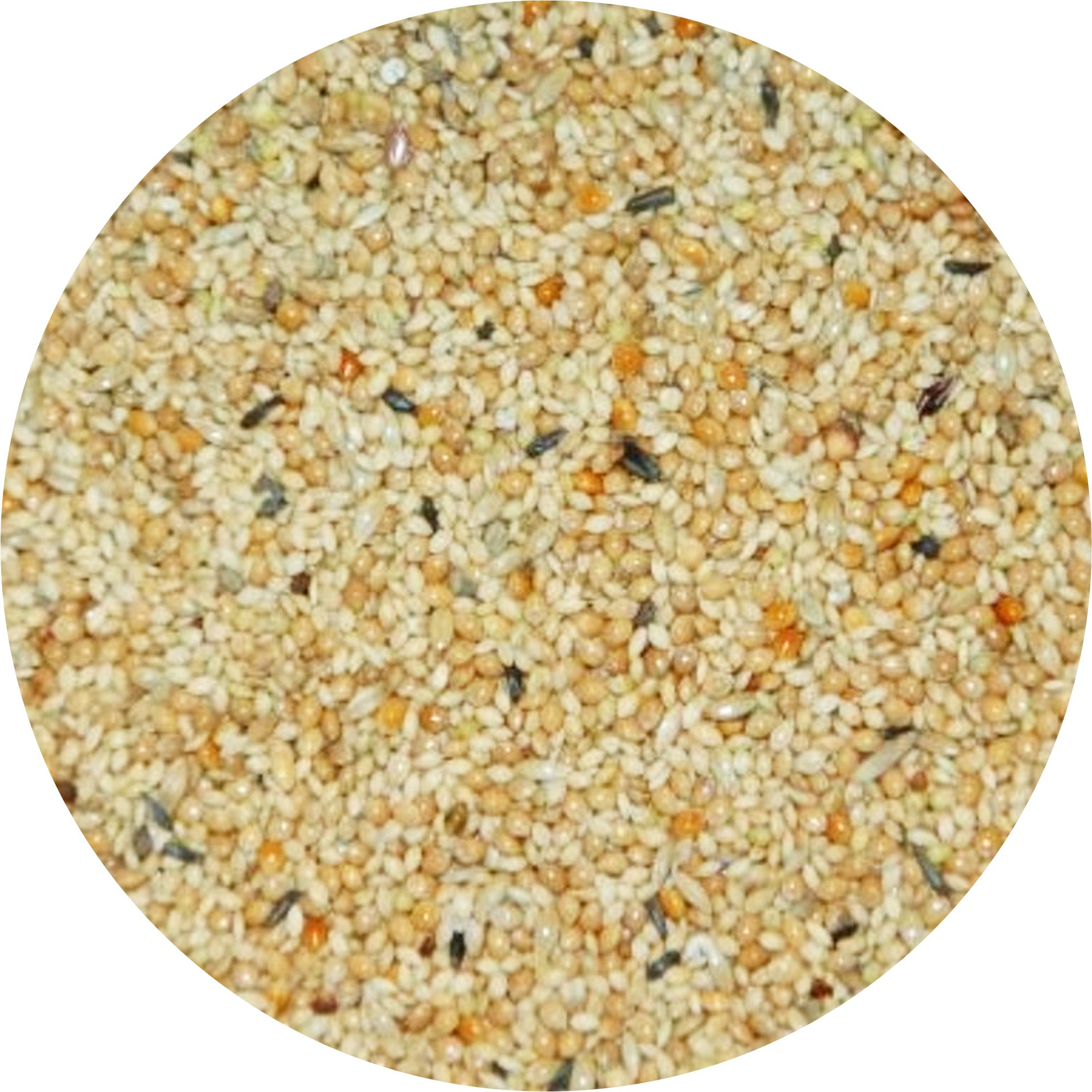 Wielink Tropenzaad 20 kg