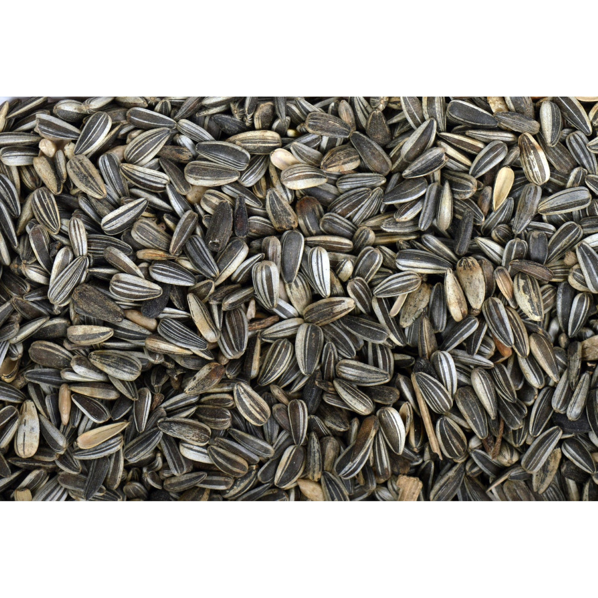 Zak Tweetfeed Zonnebloempitten Gestreept 750 gram, zonnepitten in de dop voor tuinvogels #Inhoud_750 gram