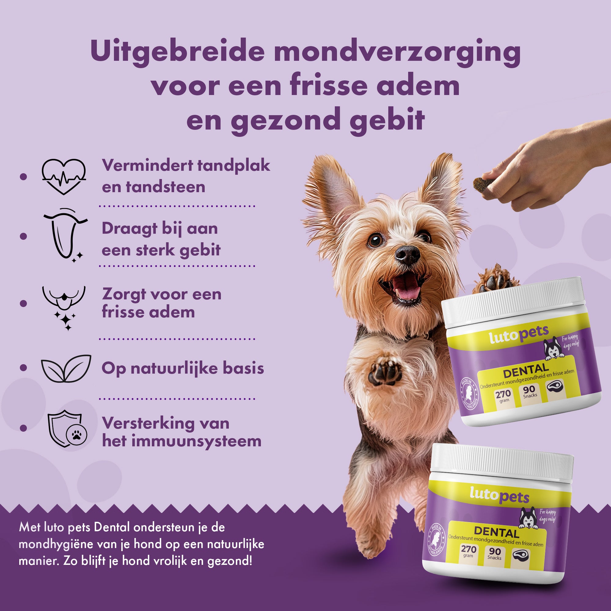 Lutopets Dental Hondensnoepjes Rundvlees | 90 chews