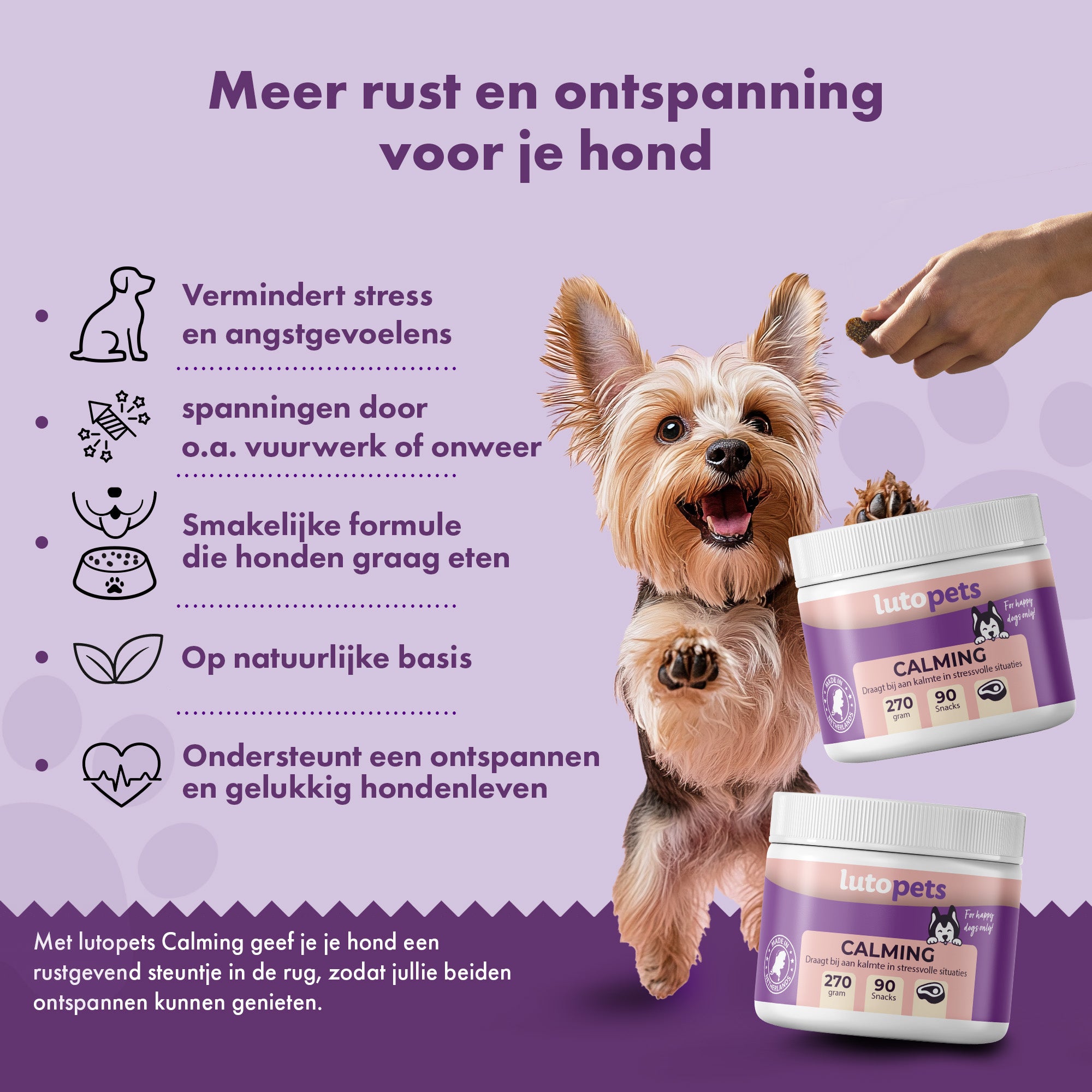 Lutopets Calming Hond | 90 chews