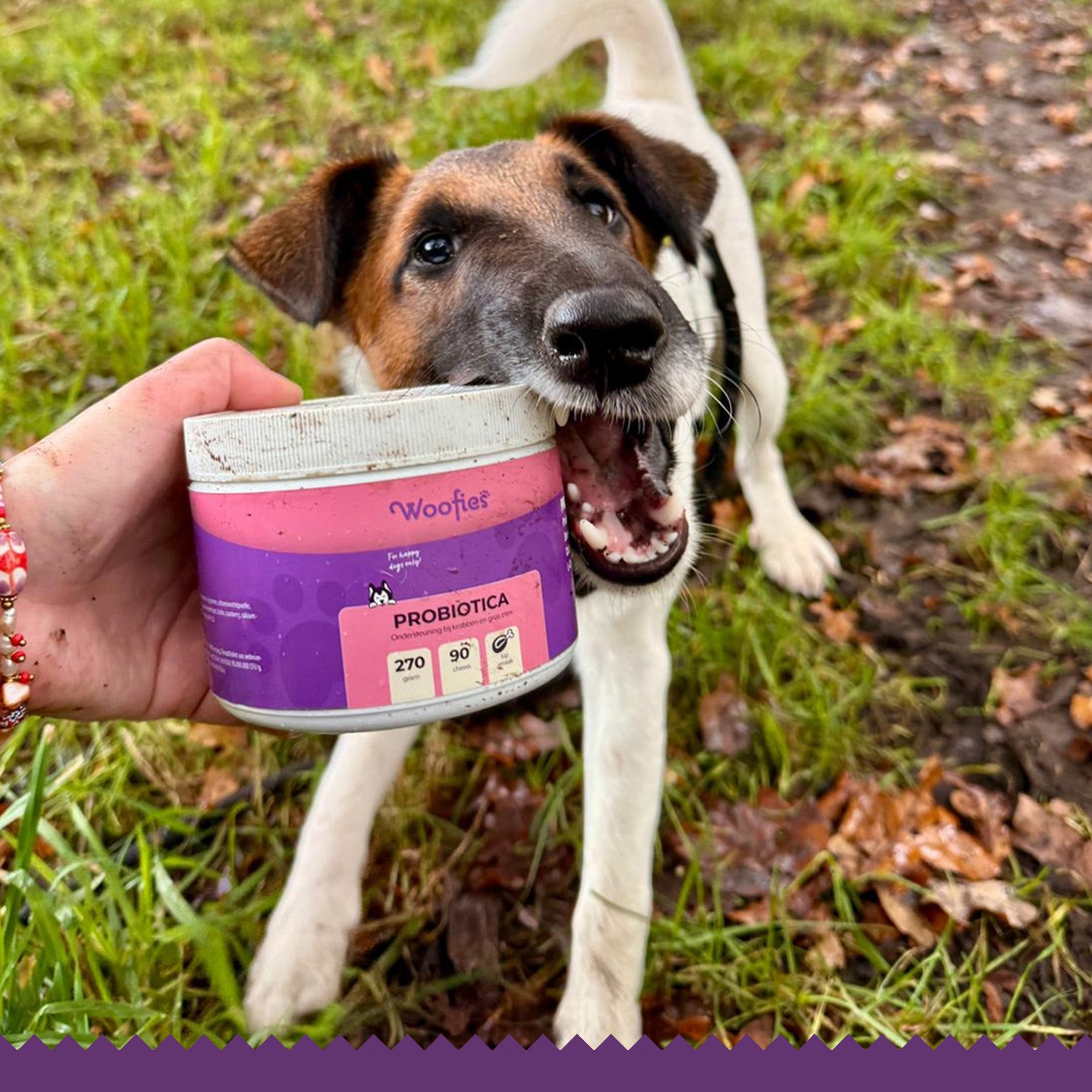 Lutopets Probiotica & Prebiotica Hond | 90 chews