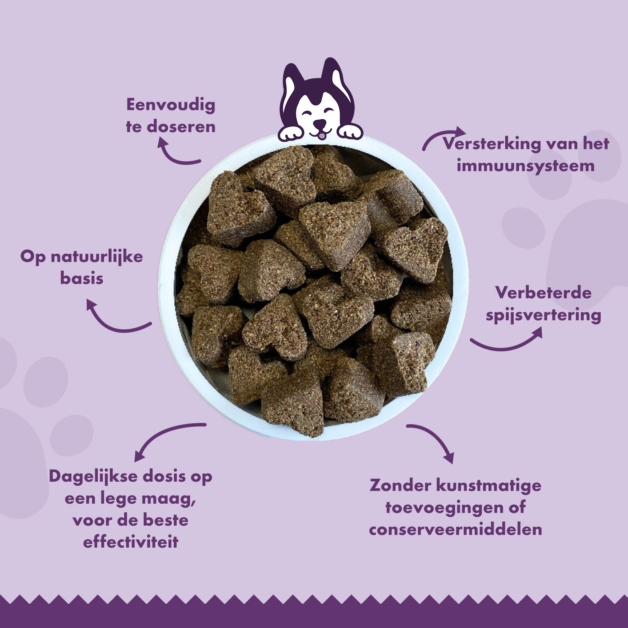 Lutopets Probiotica & Prebiotica Hond | 90 chews