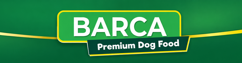 Barca Premium Mini Banner Mobiel