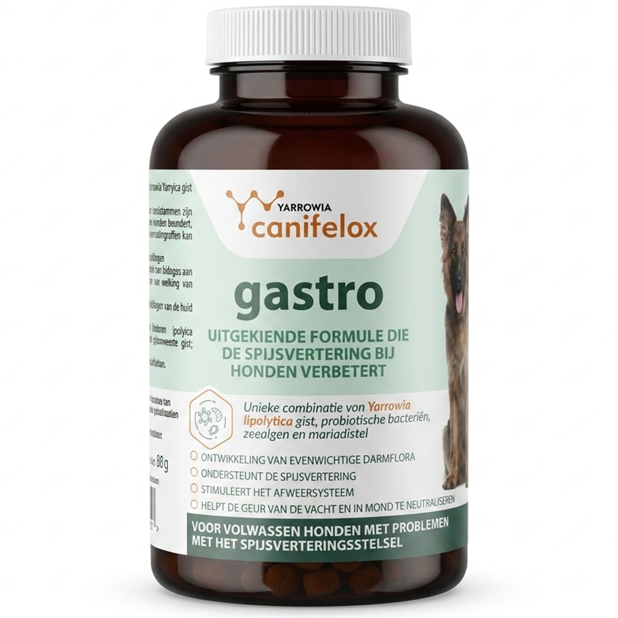 Canifelox Gastro | Spijsvertering & Darmflora Supplement voor Honden | Met Probiotica, Zeealgen & Mariadistel | Ondersteunt Maag en Darmen | 240 g