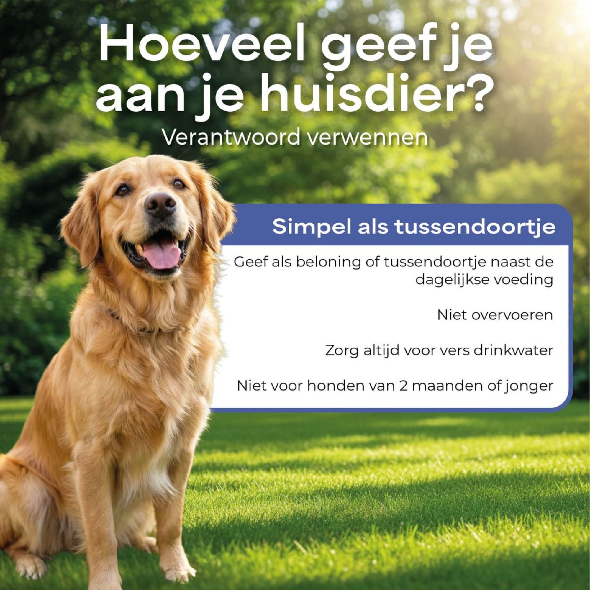 Lutopets Konijnenoren met Kip | 400 g