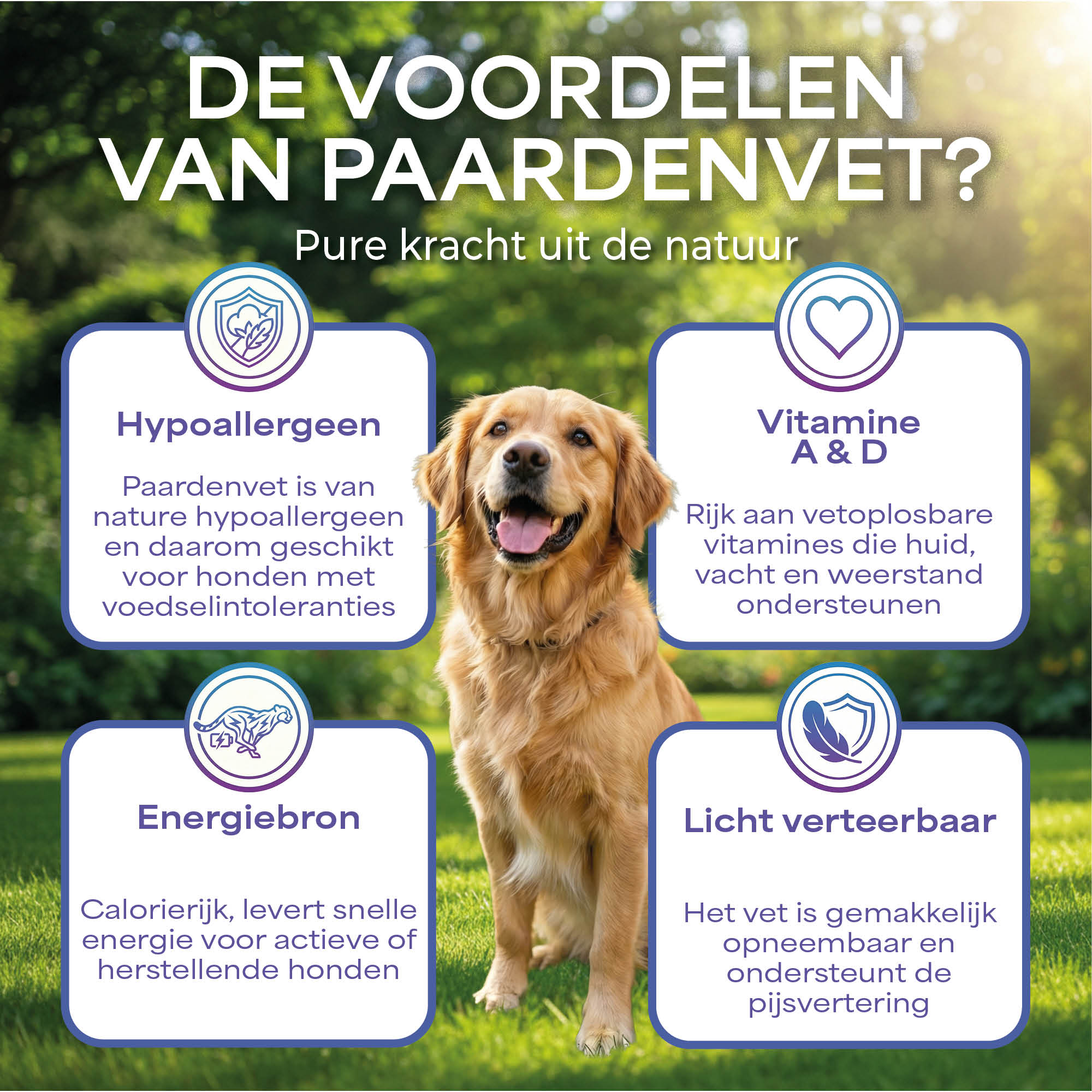 Lutopets Paardenvet | 500 ml