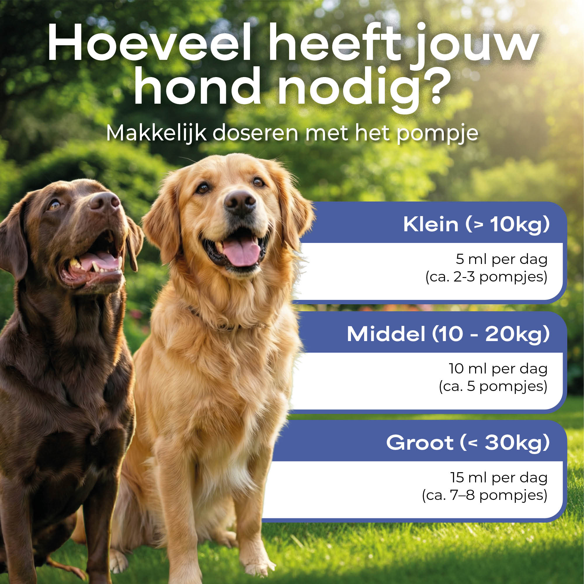 Lutopets Paardenvet | 500 ml