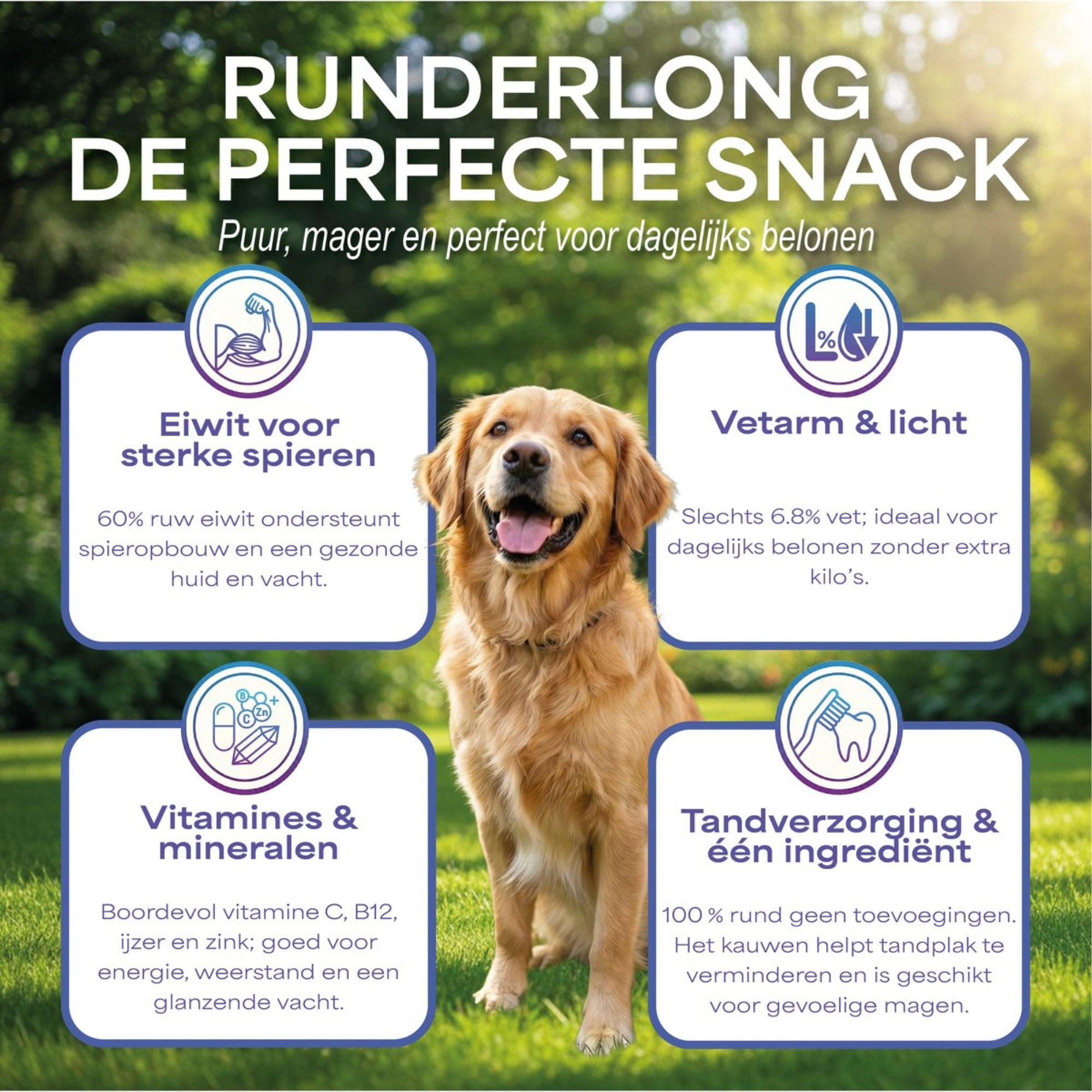 Lutopets Trainers Runderlong