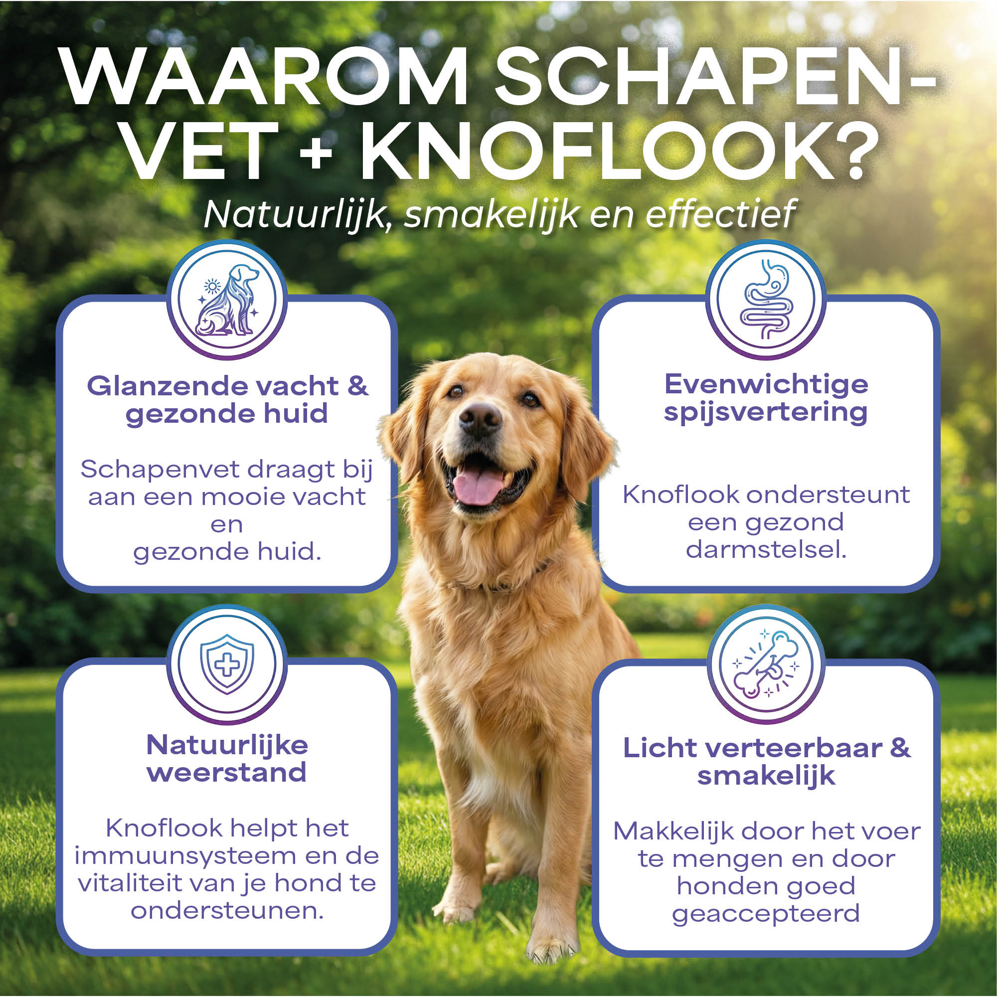 Lutopets Schapenvet + Knoflook | 500 ml