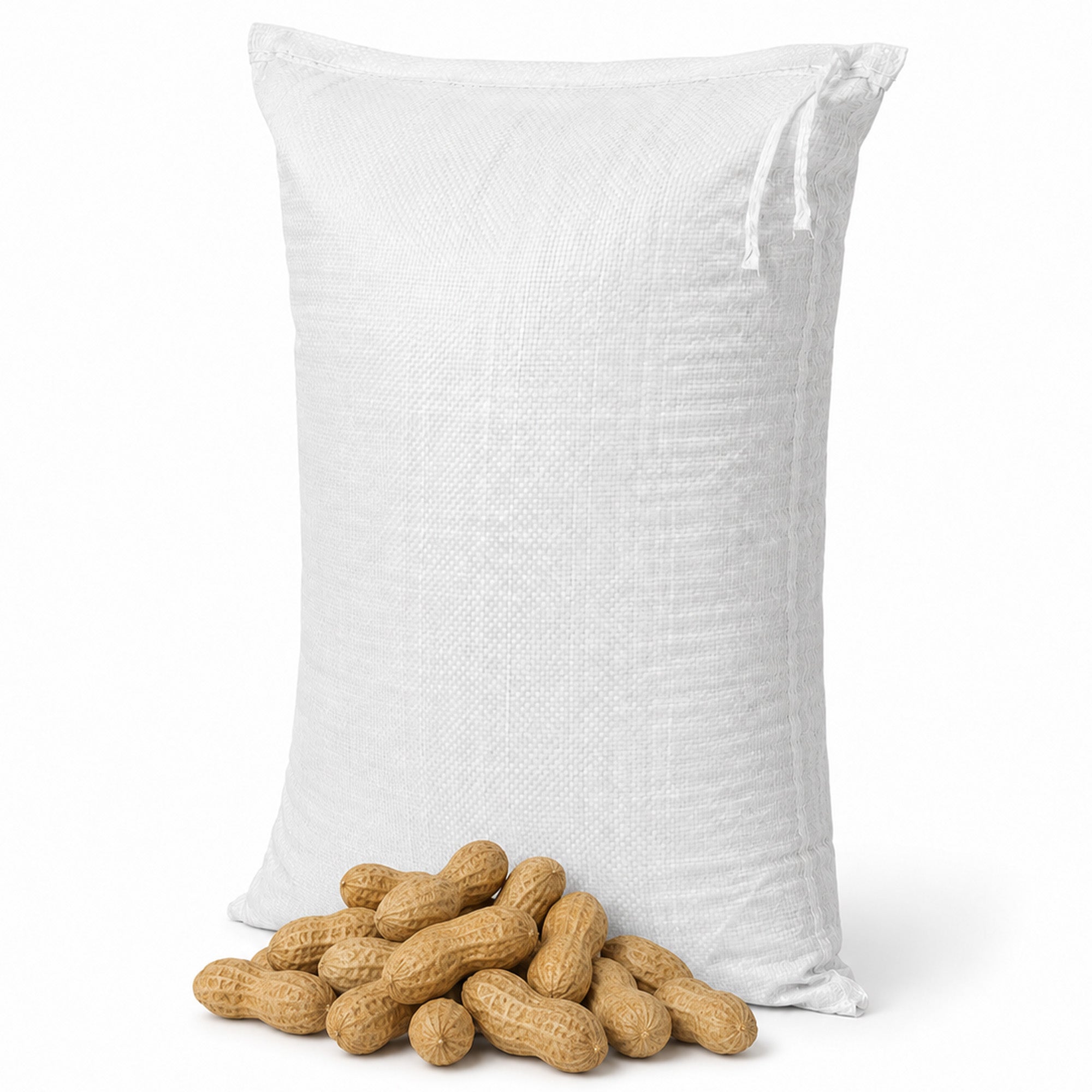 Wielink Pinda's in Dop 10 kg | Tuinvogels