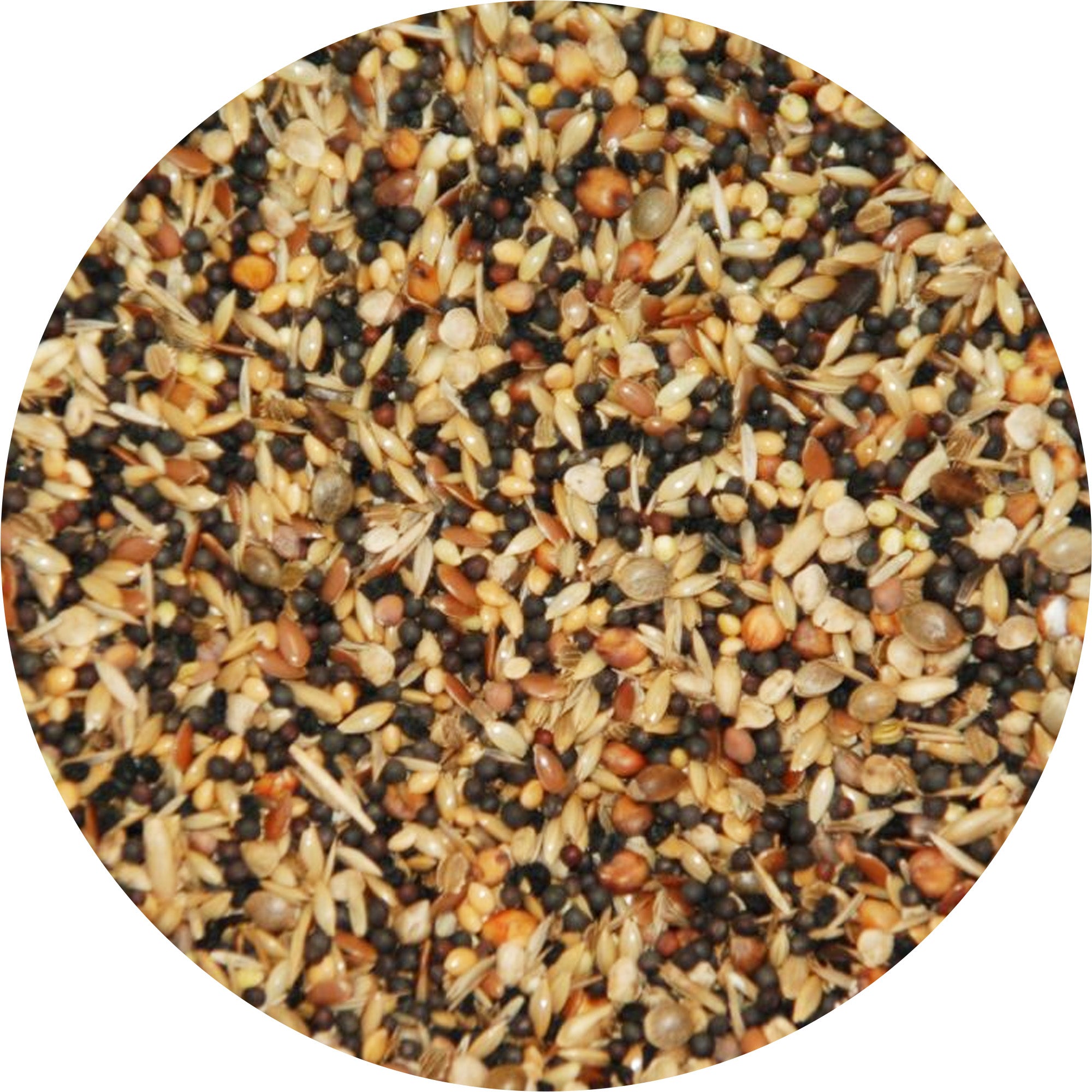 Wielink Wildzangzaad 20 kg