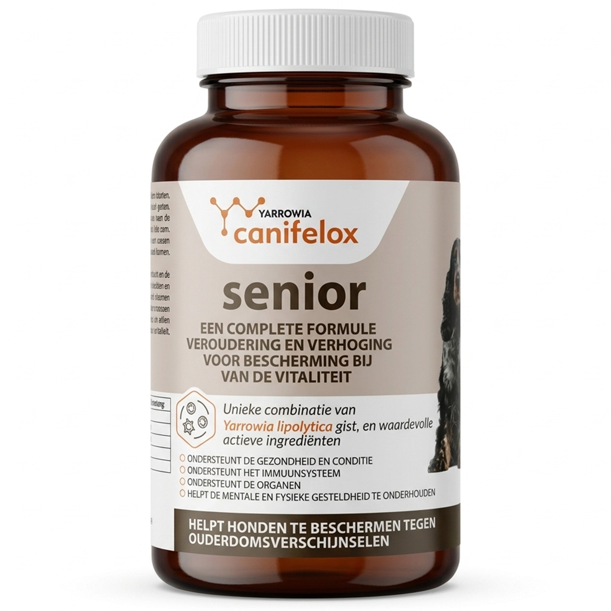 Canifelox Senior | Supplement voor Oudere Honden | Ondersteunt Gewrichten, Immuunsysteem & Vitaliteit | Met Unieke Yarrowia Lipolytica Gist | 240 g