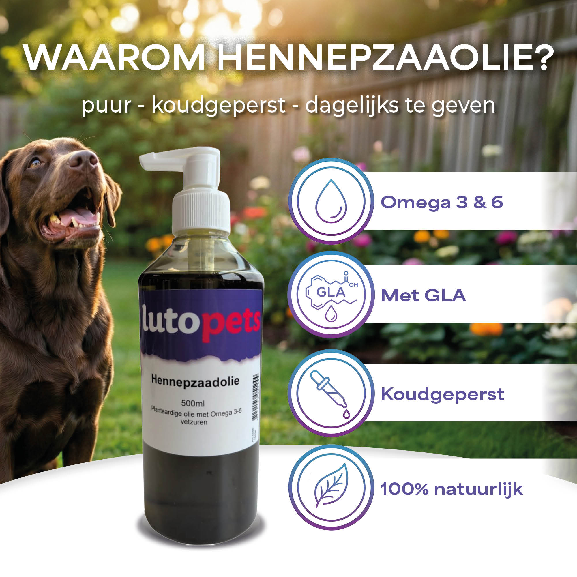 Lutopets Hennepzaadolie | 500 ml