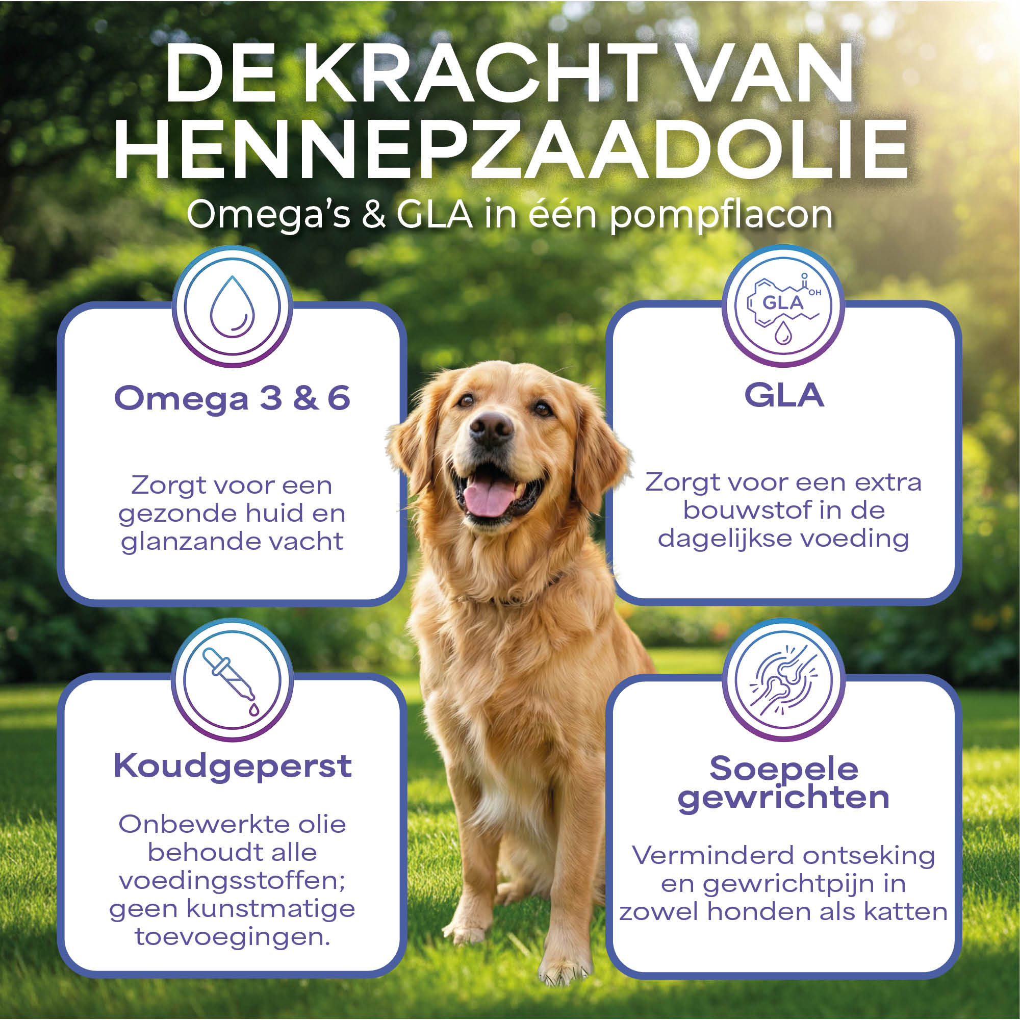 Lutopets Hennepzaadolie | 500 ml