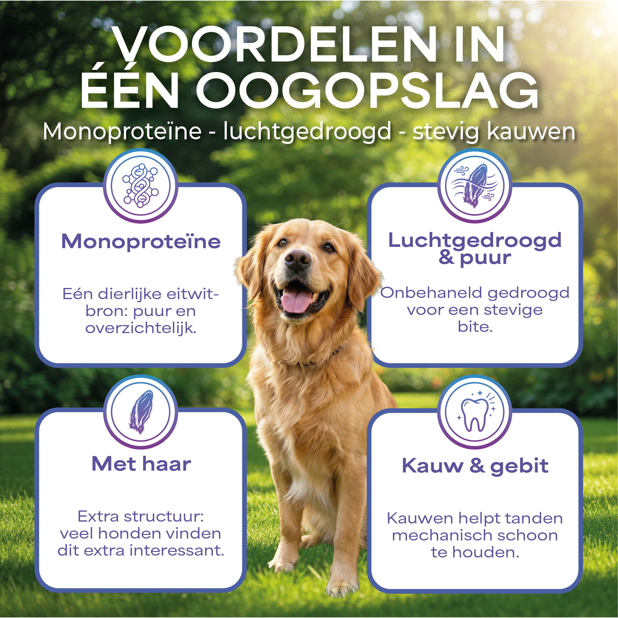 Lutopets Konijnenoren met Haar | 100 g