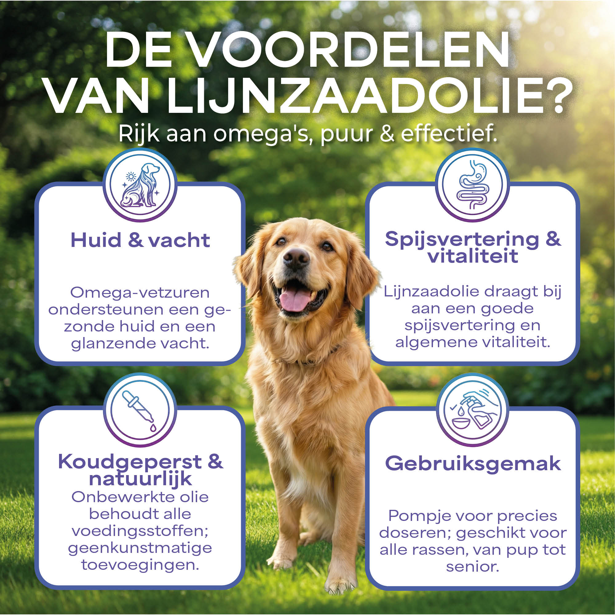 Lutopets Lijnzaadolie | 500 ml