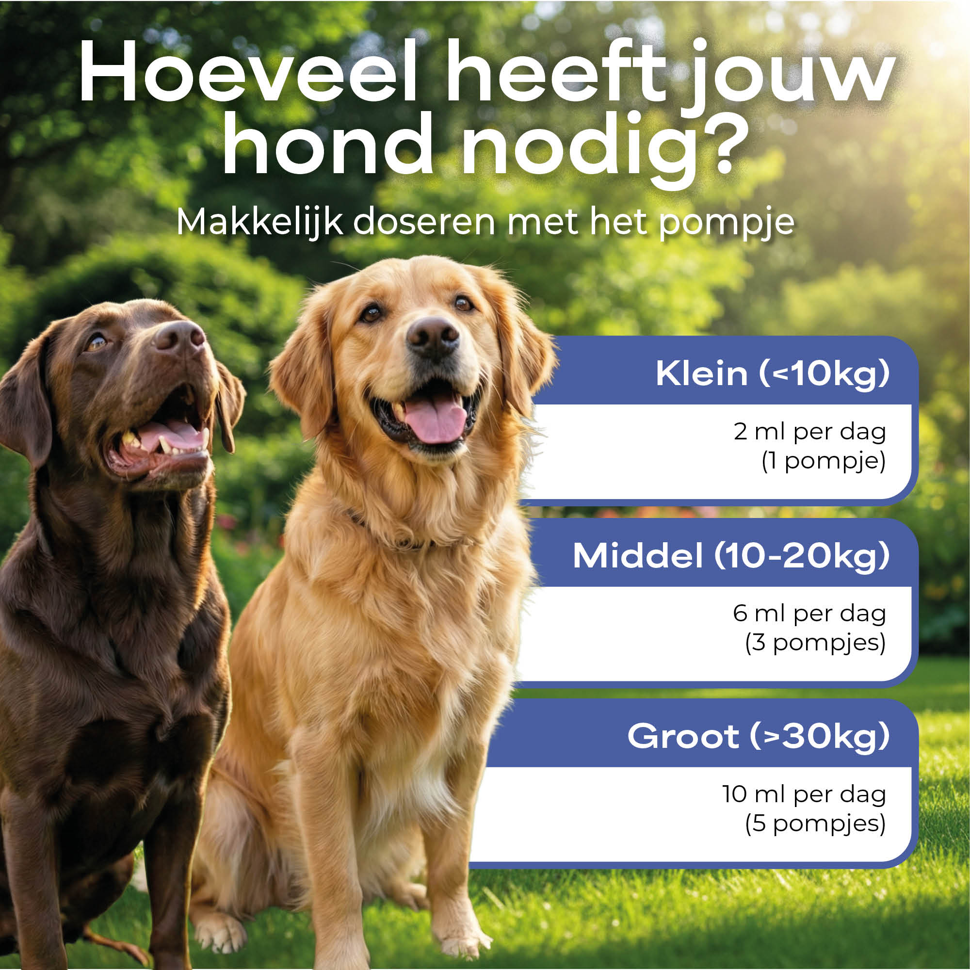 Lutopets Lijnzaadolie | 500 ml