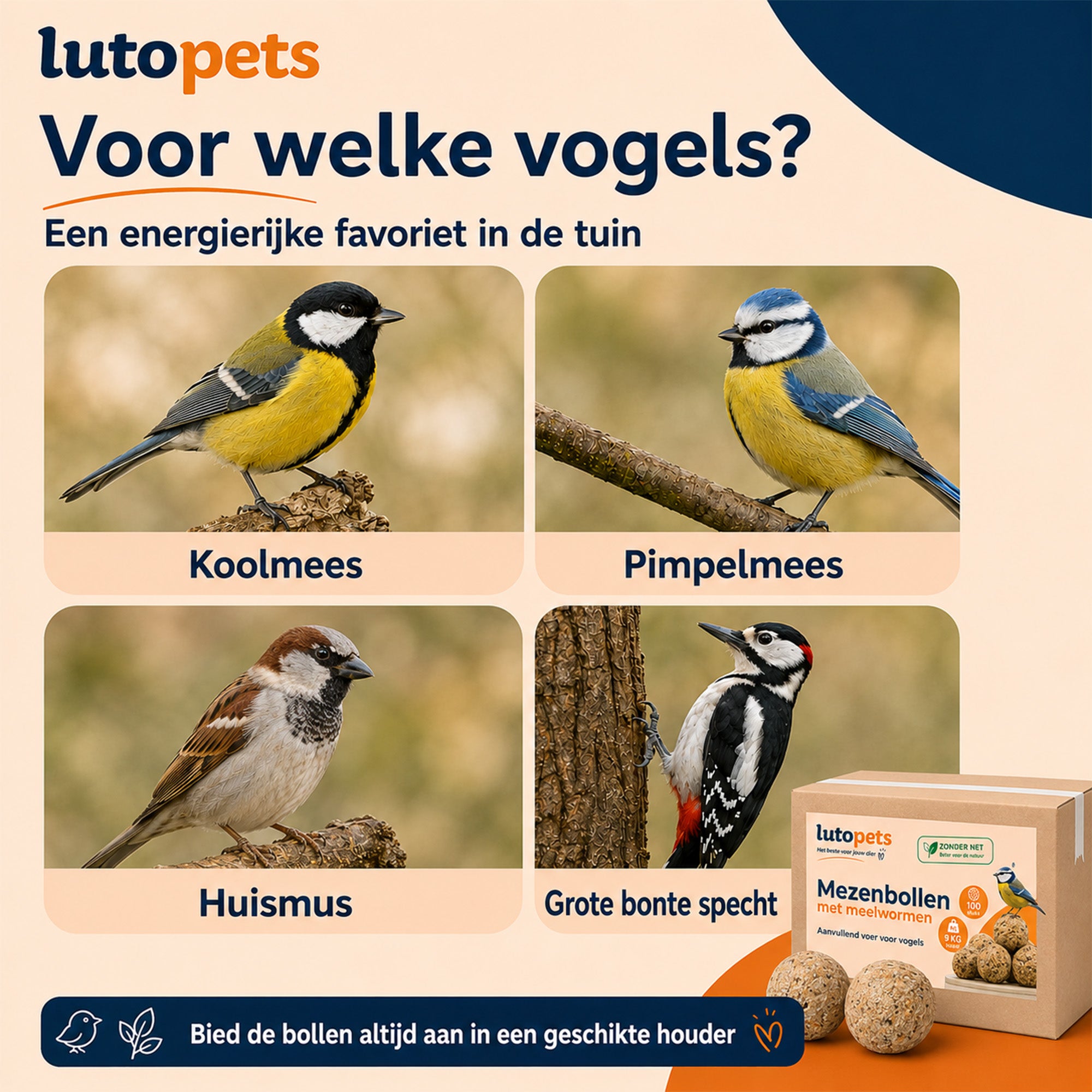 Tuinvogels op mezenbollen met meelwormen: koolmees, pimpelmees, huismus en grote bonte specht