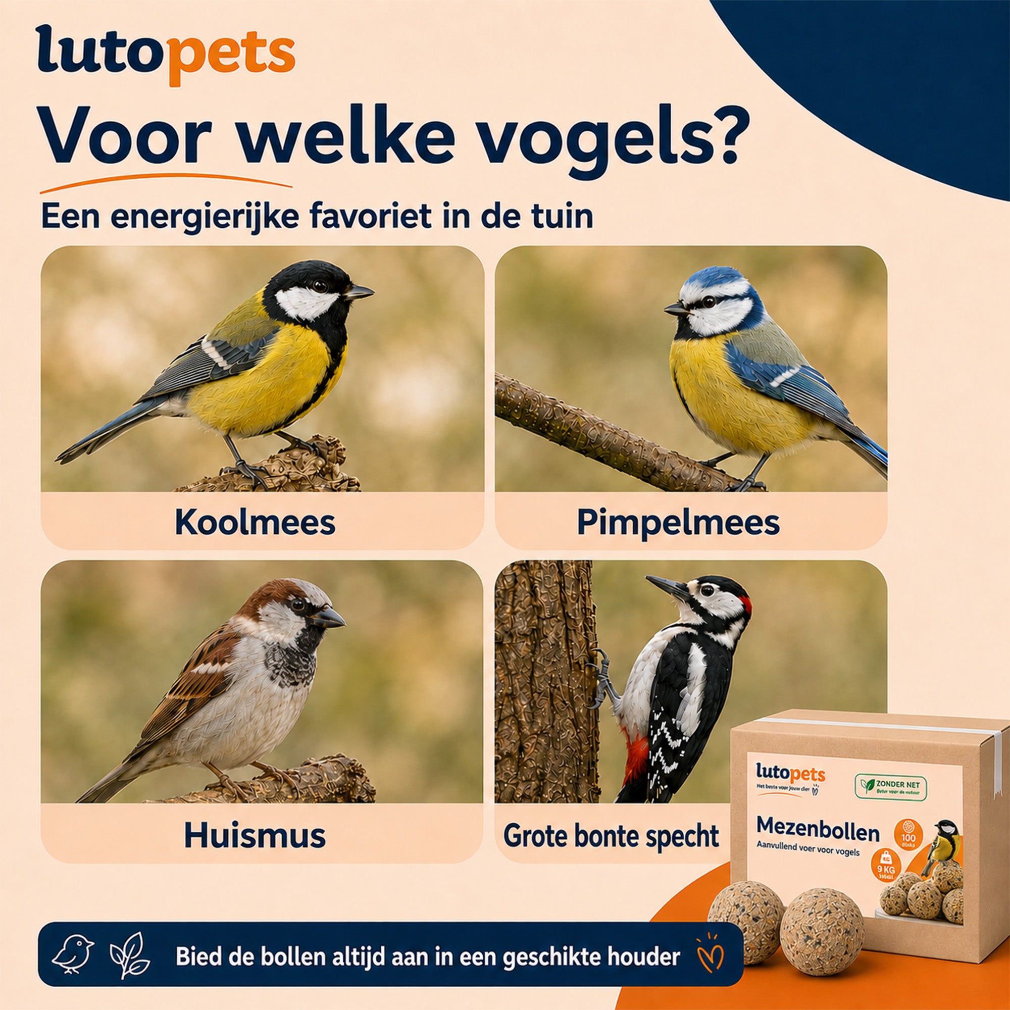 Tuinvogels op mezenbollen: koolmees, pimpelmees, huismus en grote bonte specht