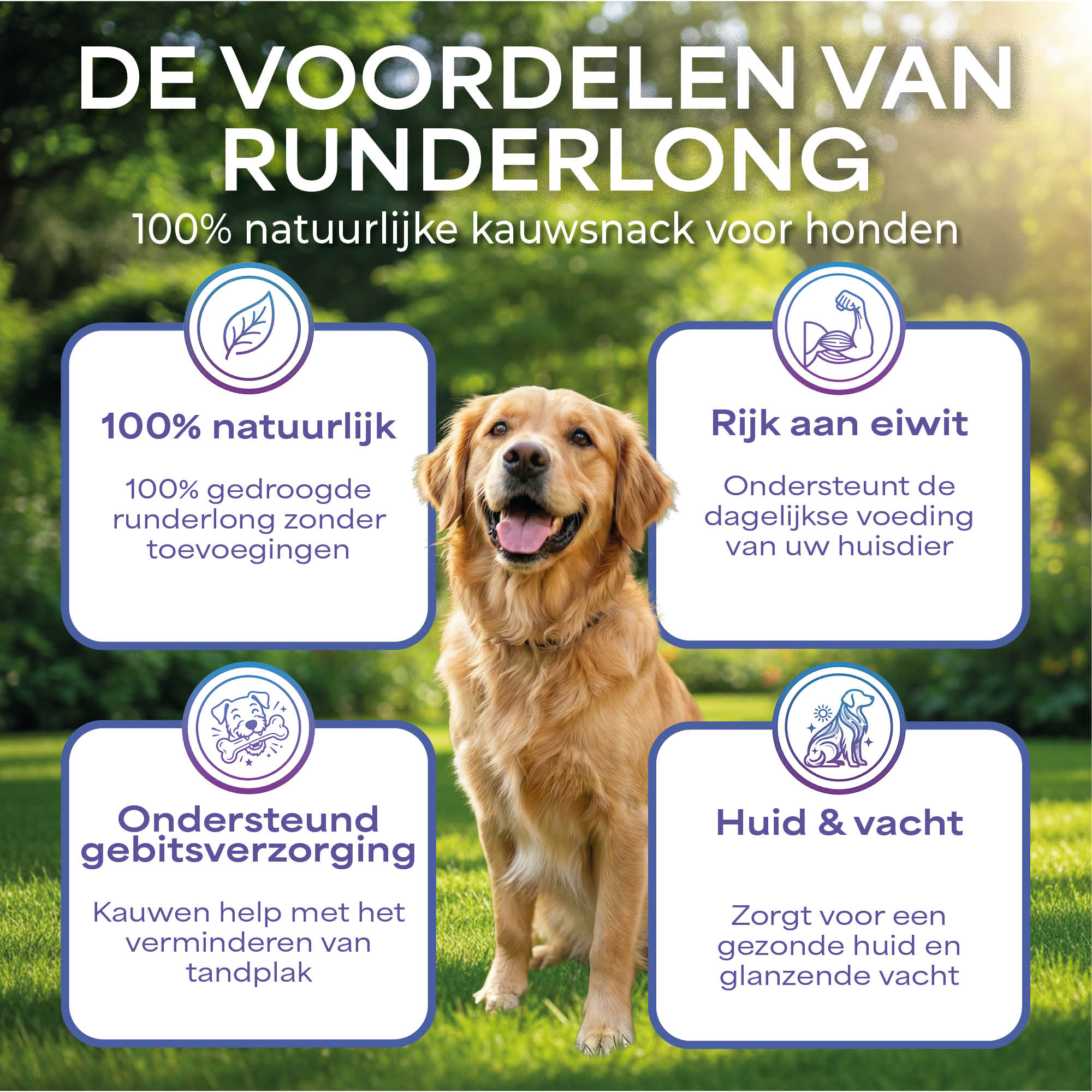 Lutopets Runderlong | 1 kg