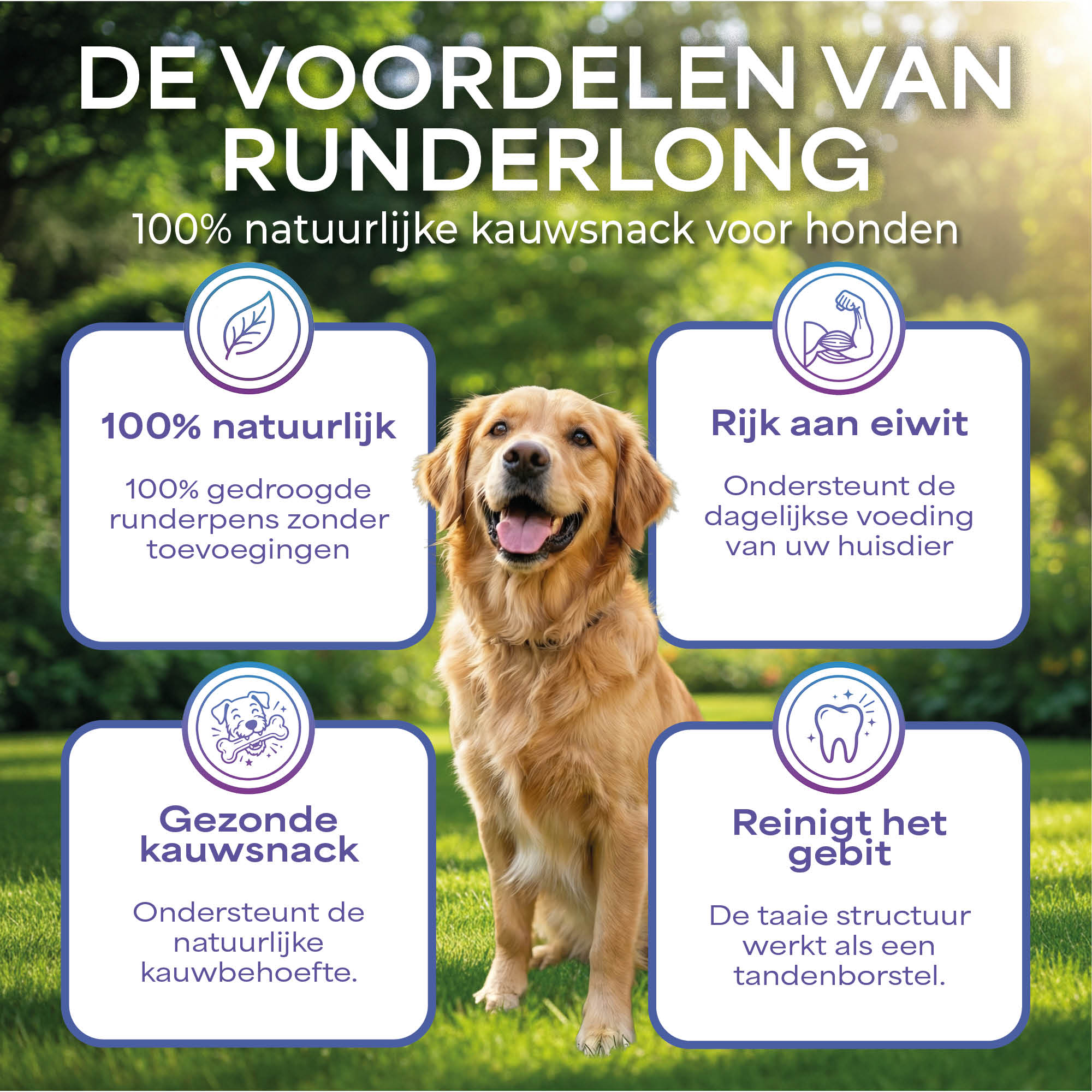Lutopets Runderpens | 1 kg