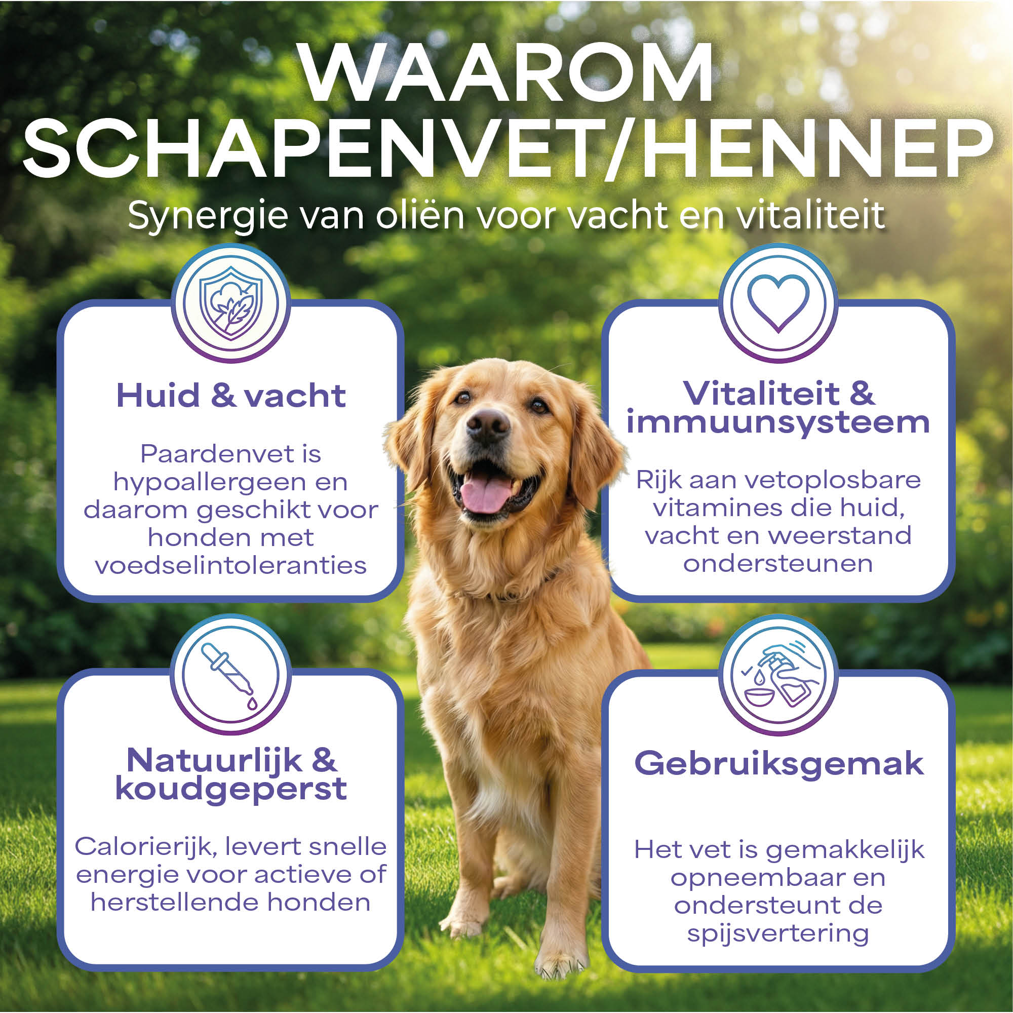 LutoPets Duo Schapenvet & Hennep Olie 500 ml