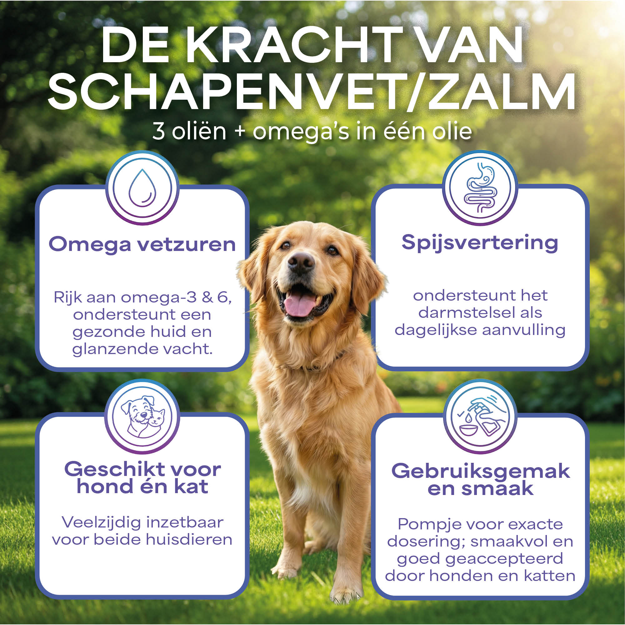 Lutopets Schapenvet/Zalm Duo | 500 ml