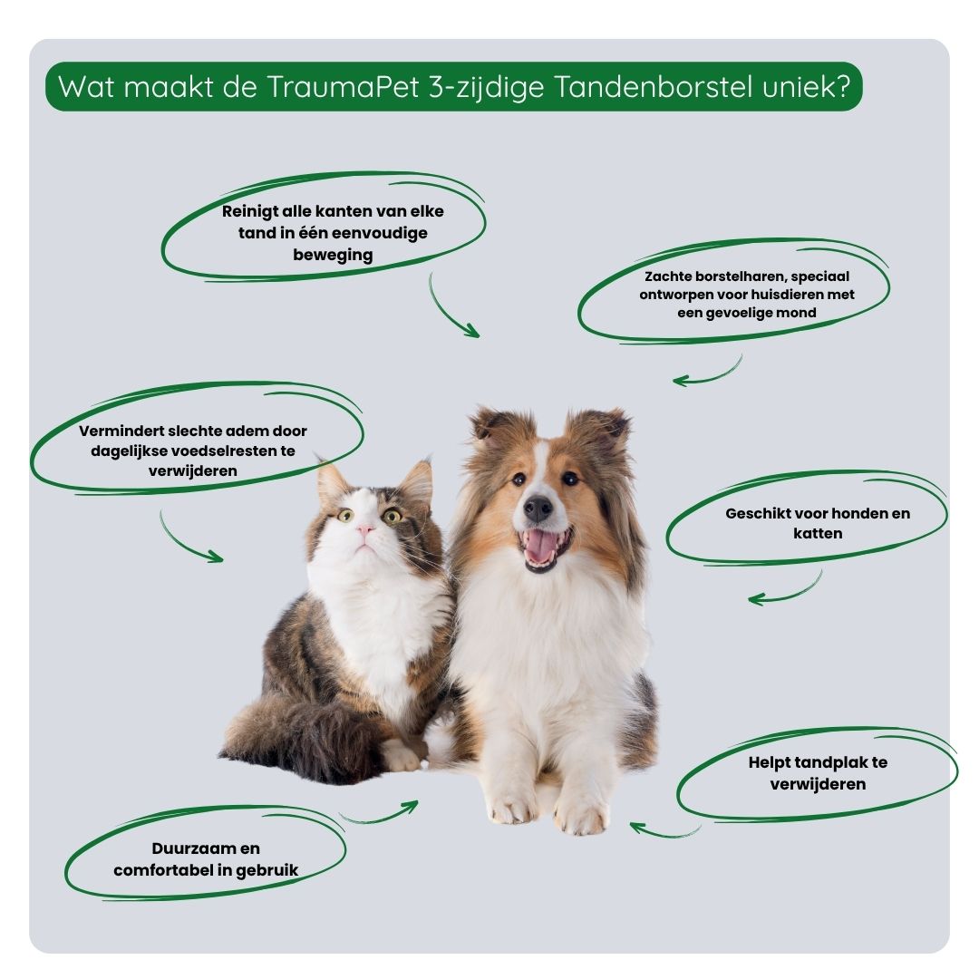 Stappenplan voor het poetsen met de TraumaPet 3-zijdige tandenborstel: lip optillen, borstel over de tand plaatsen en korte bewegingen maken