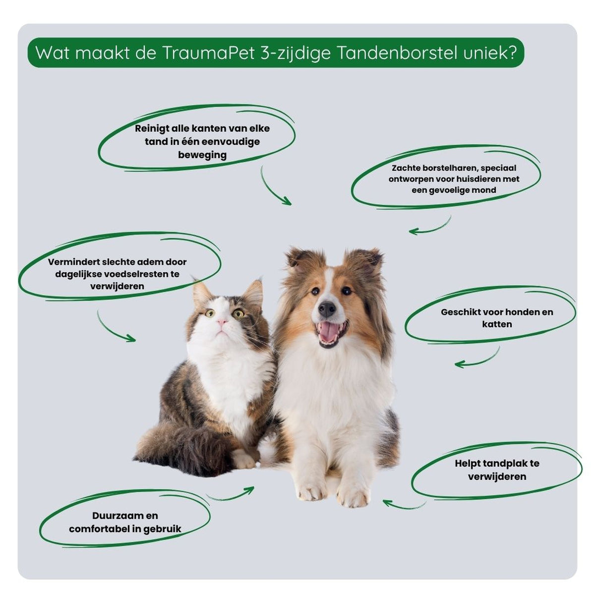 Stappenplan voor het poetsen met de TraumaPet 3-zijdige tandenborstel: lip optillen, borstel over de tand plaatsen en korte bewegingen maken