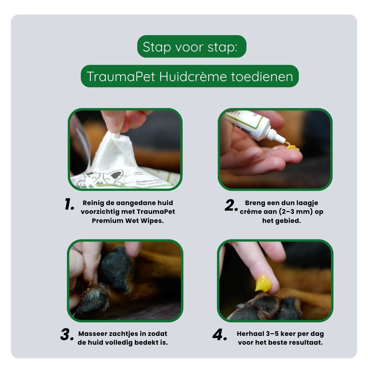 Stappenplan voor het aanbrengen van TraumaPet Huidcrème in een dun laagje