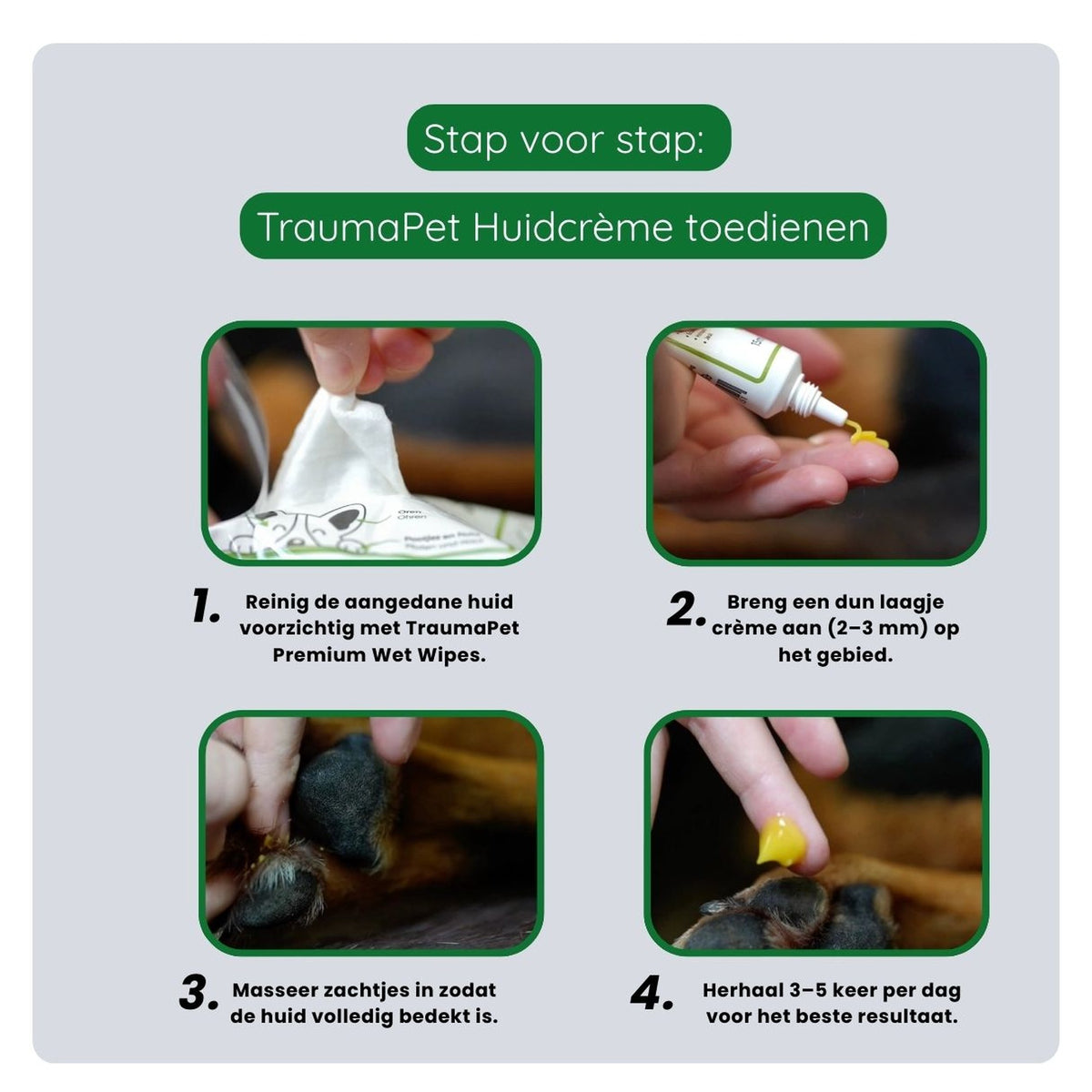 Stappenplan voor het aanbrengen van TraumaPet Huidcrème in een dun laagje
