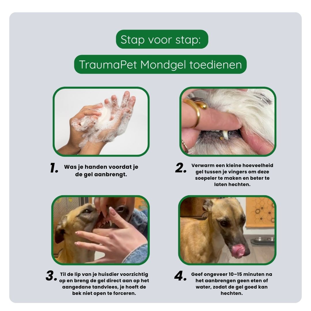 Stappenplan voor het aanbrengen van TraumaPet Mondgel op het tandvlees