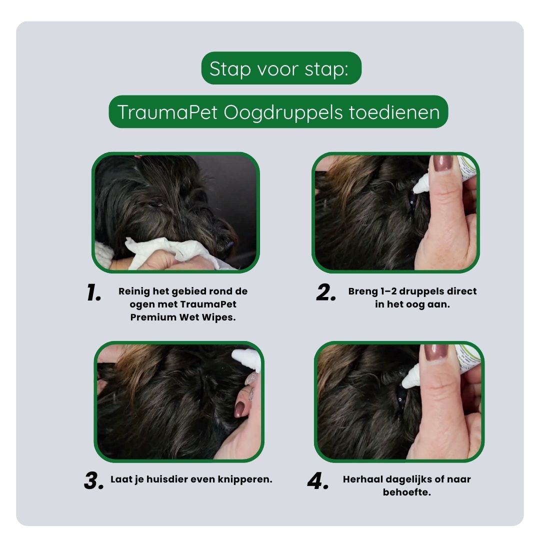Stappenplan voor het druppelen van TraumaPet Oogdruppels per oog