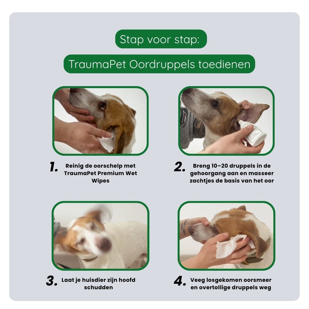 Stappenplan voor het druppelen van TraumaPet Oordruppels in de gehoorgang