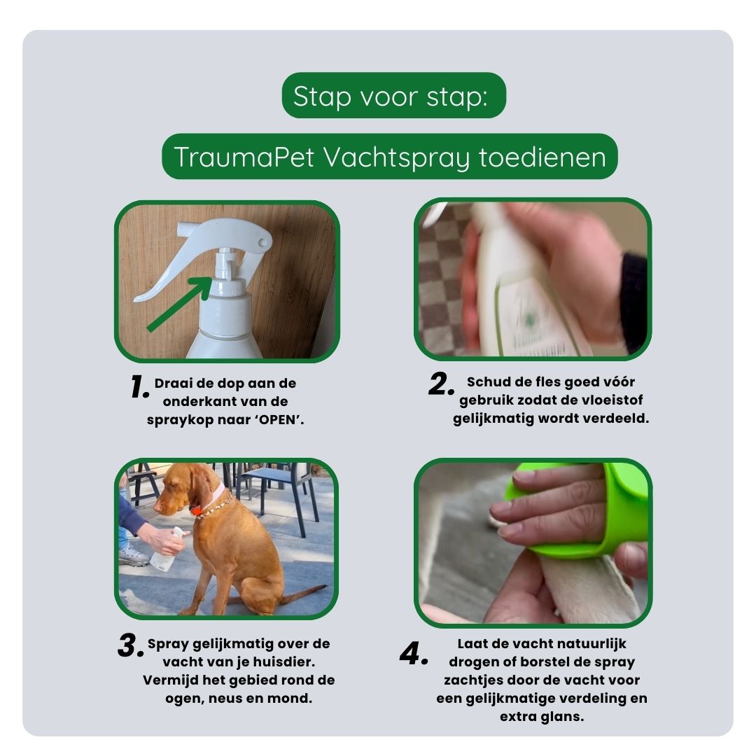Stappenplan voor het aanbrengen van TraumaPet Vachtspray op de vacht van een hond