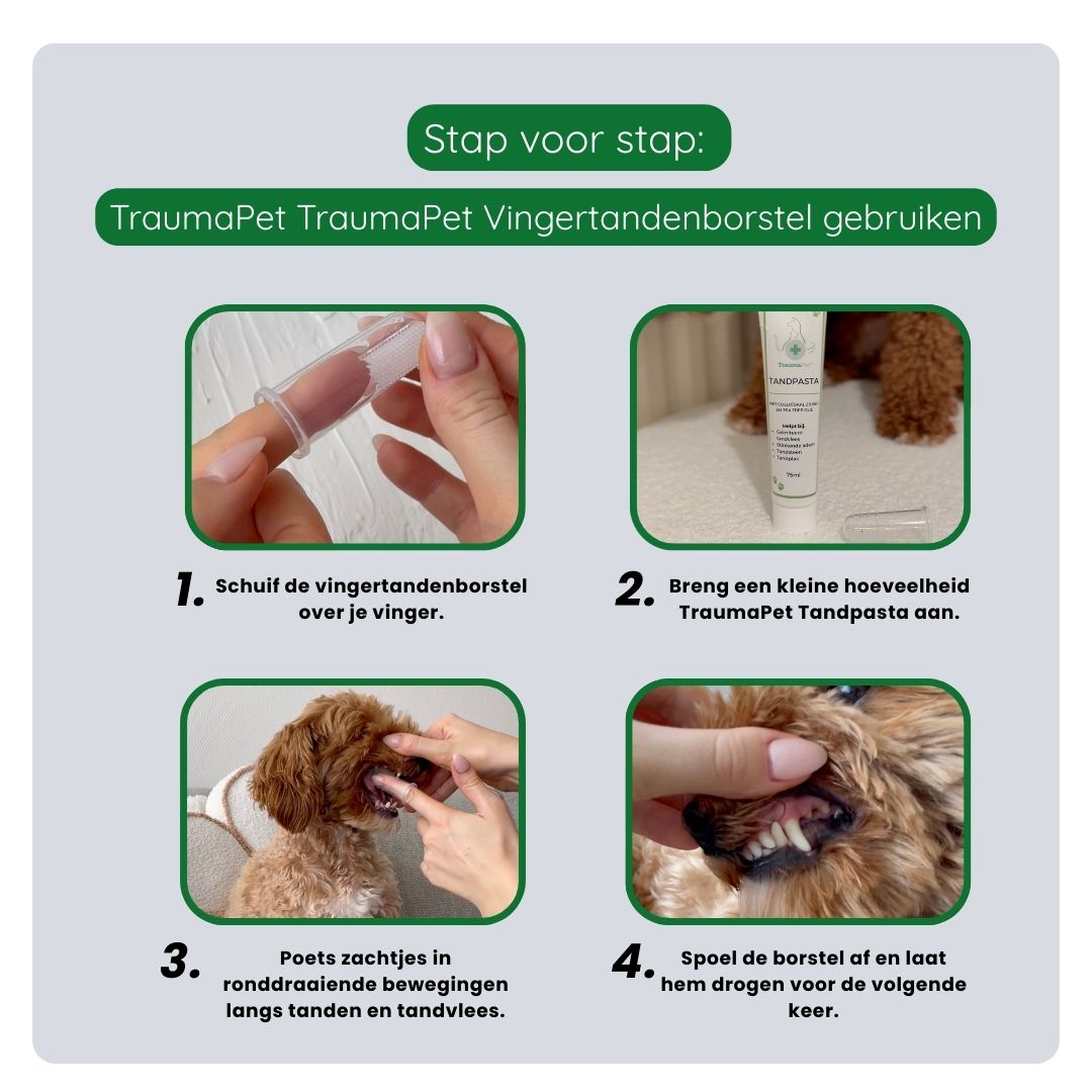 Stappenplan: vingertandenborstel over je vinger schuiven en de tanden van je hond poetsen