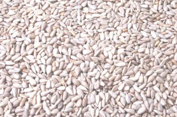 Verpakking Tweetfeed Gepelde Zonnebloempitten 1 kg, zonnepitten zonder dop voor tuinvogels