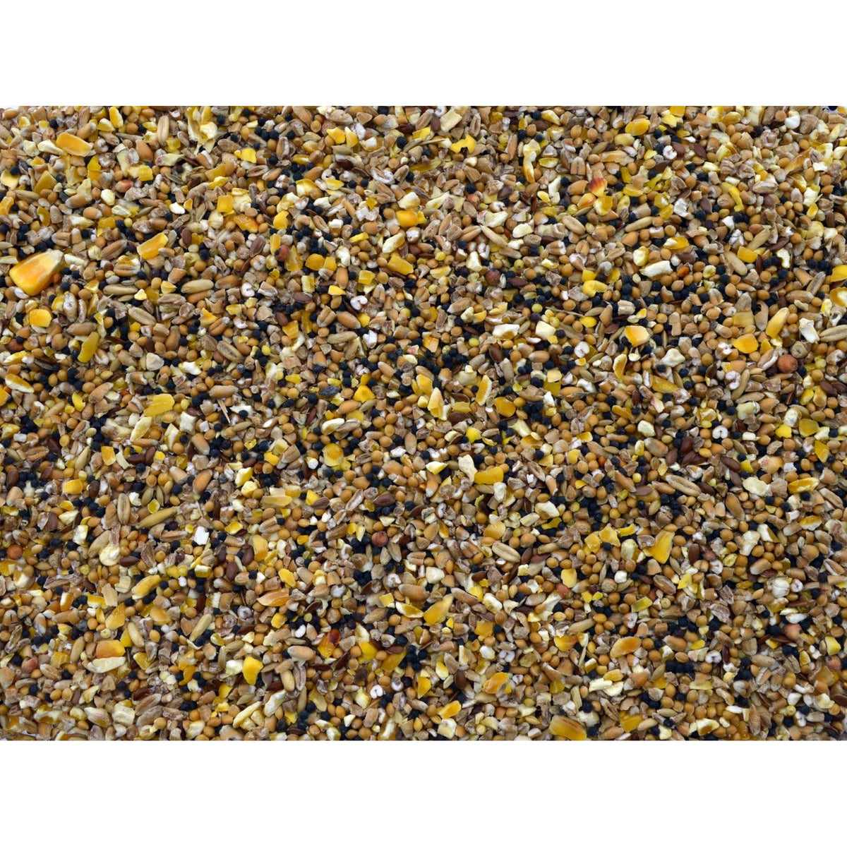 Zak Wielink Mussenzaad 20 kg, fijn zaadmengsel met millet, kanariezaad en gebroken granen voor huismussen en tuinvogels