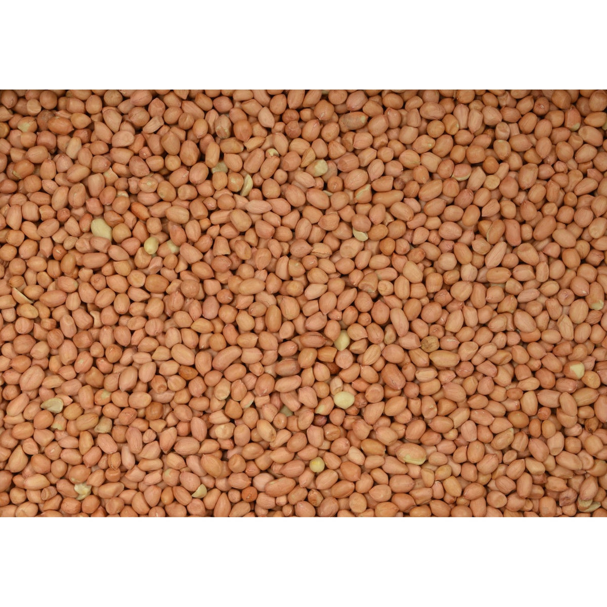 Verpakking Tweetfeed Pinda's Gepeld Super 2,5 kg, losse pinda's zonder dop voor tuinvogels #Inhoud_2,5 kg