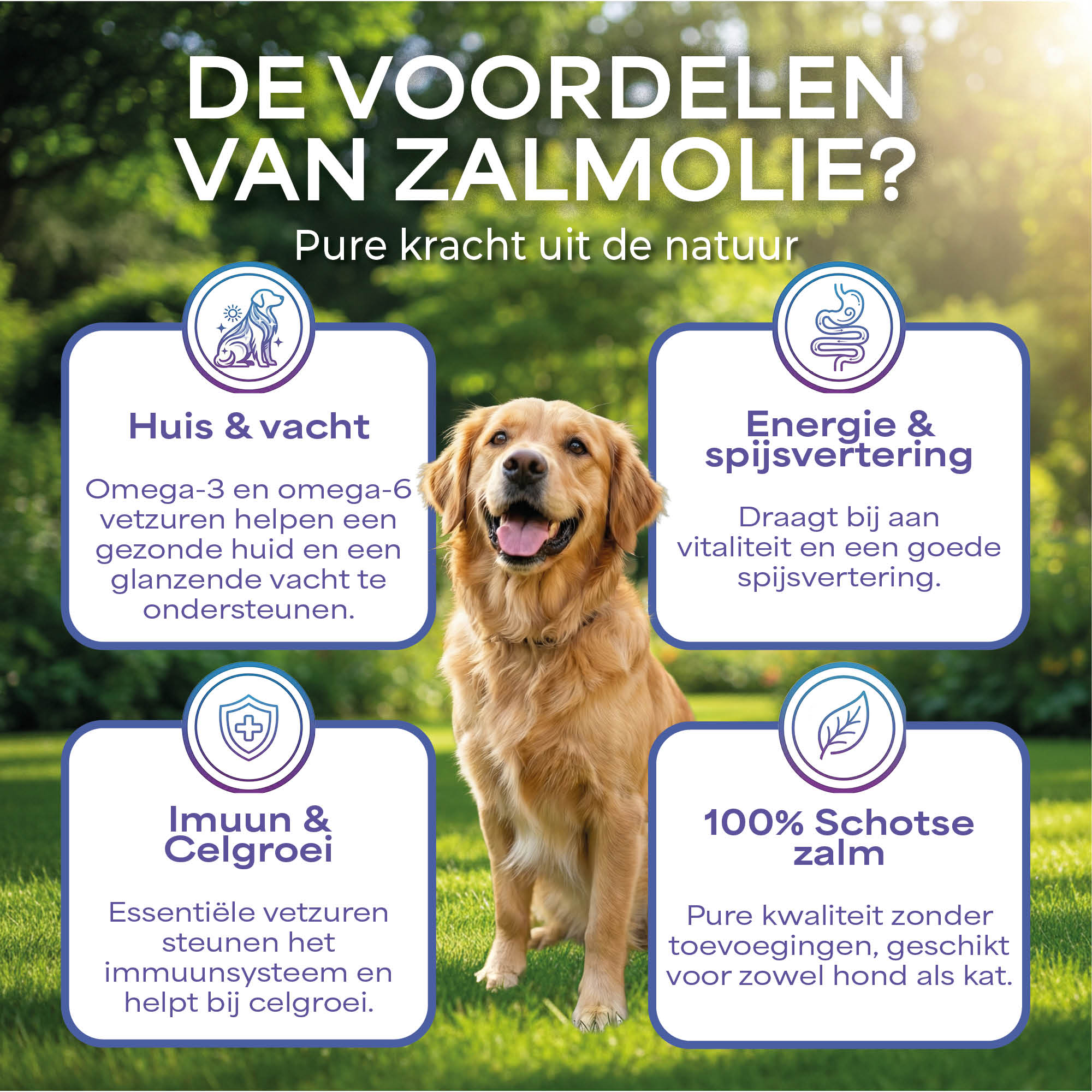 Lutopets Zalmolie 500 ml | 100% Schotse Zalm
